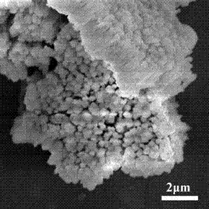 Preparation method of Mn3O4 self-assembly structure