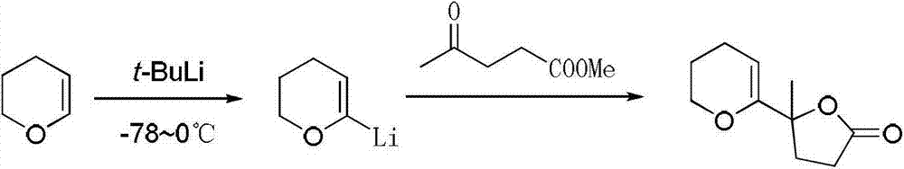 Preparation method of tert-butyllithium solution