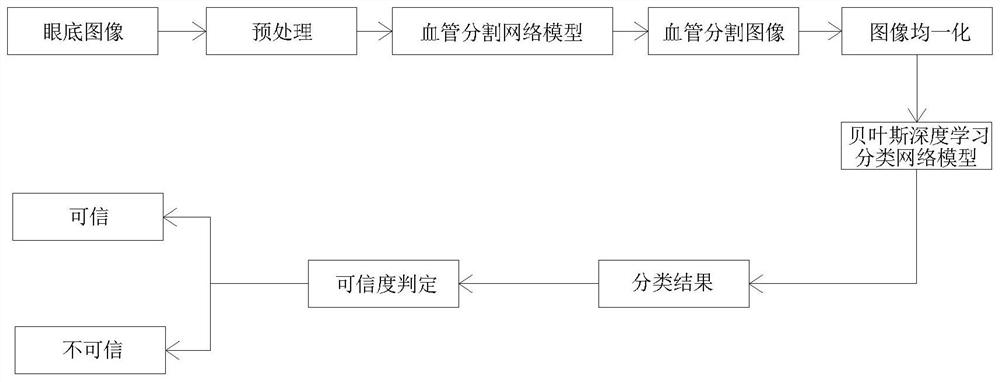 Premature infant retinopathy plus lesion classification system based on uncertainty