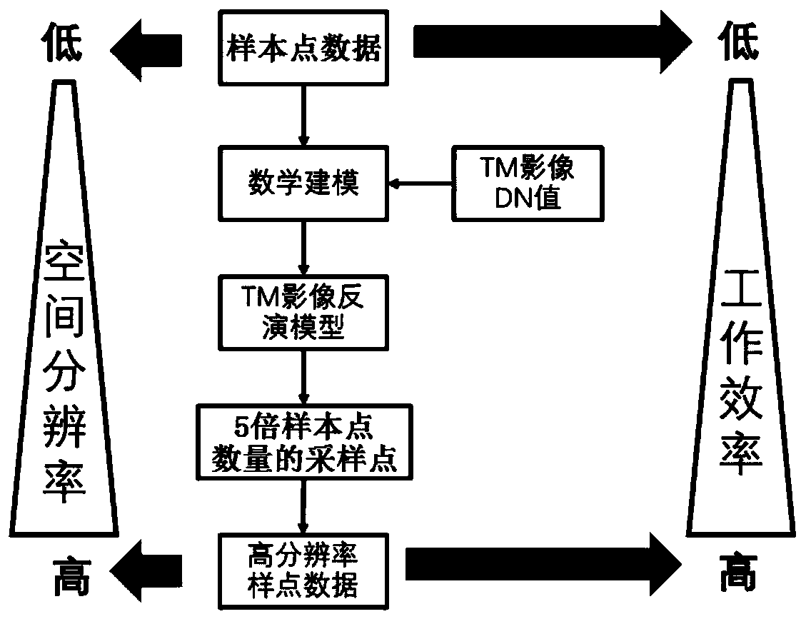 Farmland soil organic carbon content data acquisition method based on TM image assistance