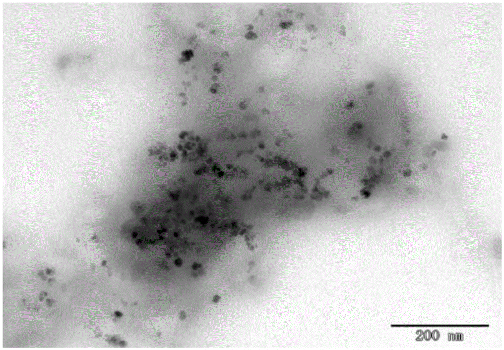 Method for preparing core-shell type polysaccharide gum location targeting carrier material