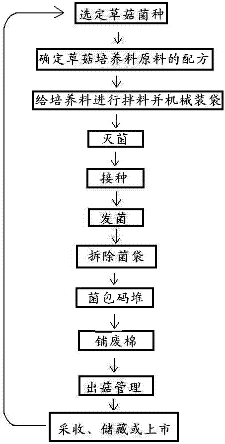 Moisturizing and production increasing technique of bagged straw mushroom via pleurotus eryngii residue clinker