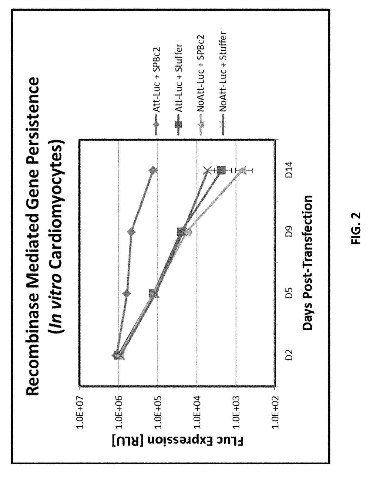 Compositions and methods for expression of multiple biologically active polypeptides from a single vector for treatment of cardiac conditions and other pathologies