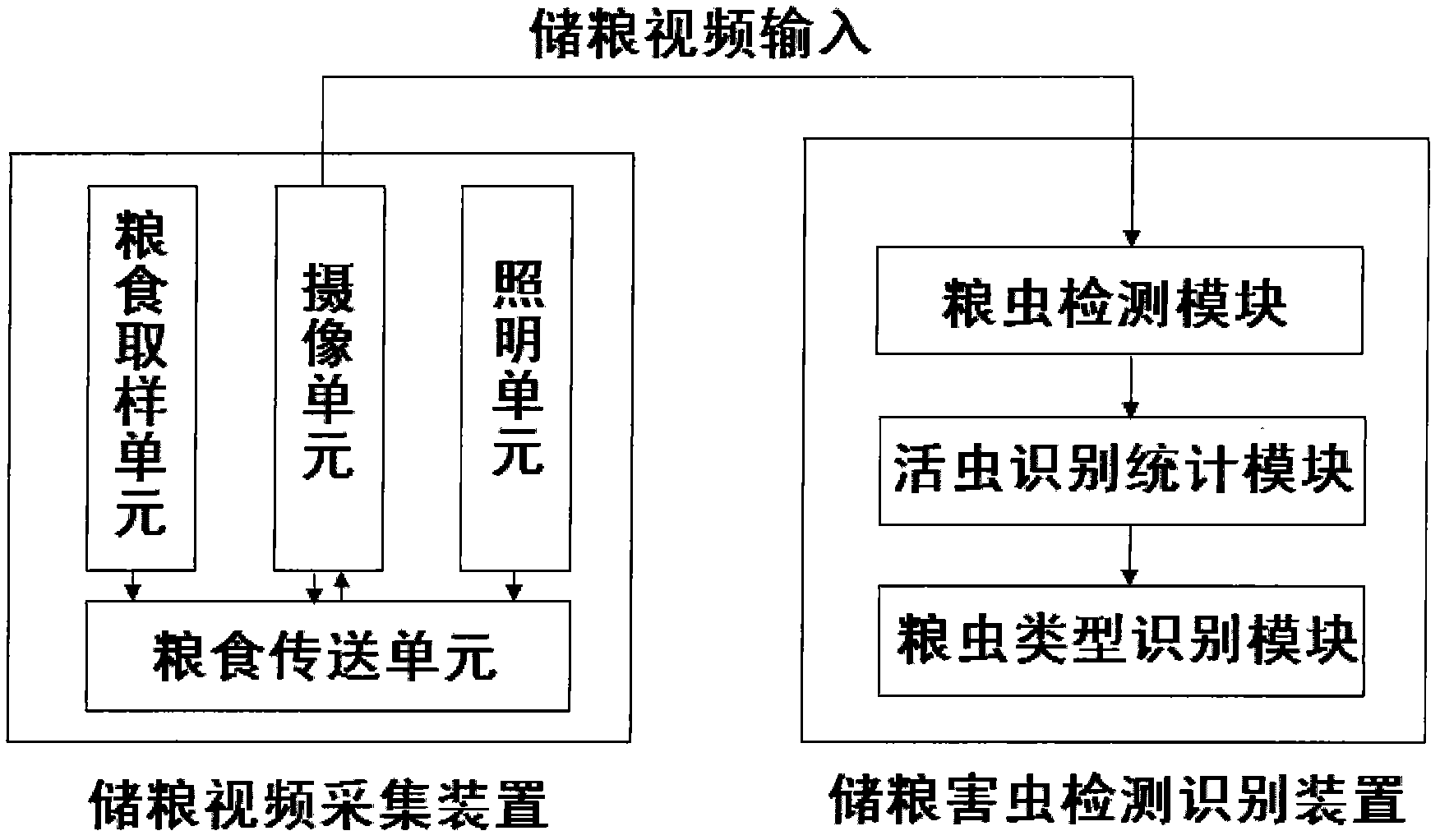 Grain storage pest detection and identification method based on video analytics and system thereof