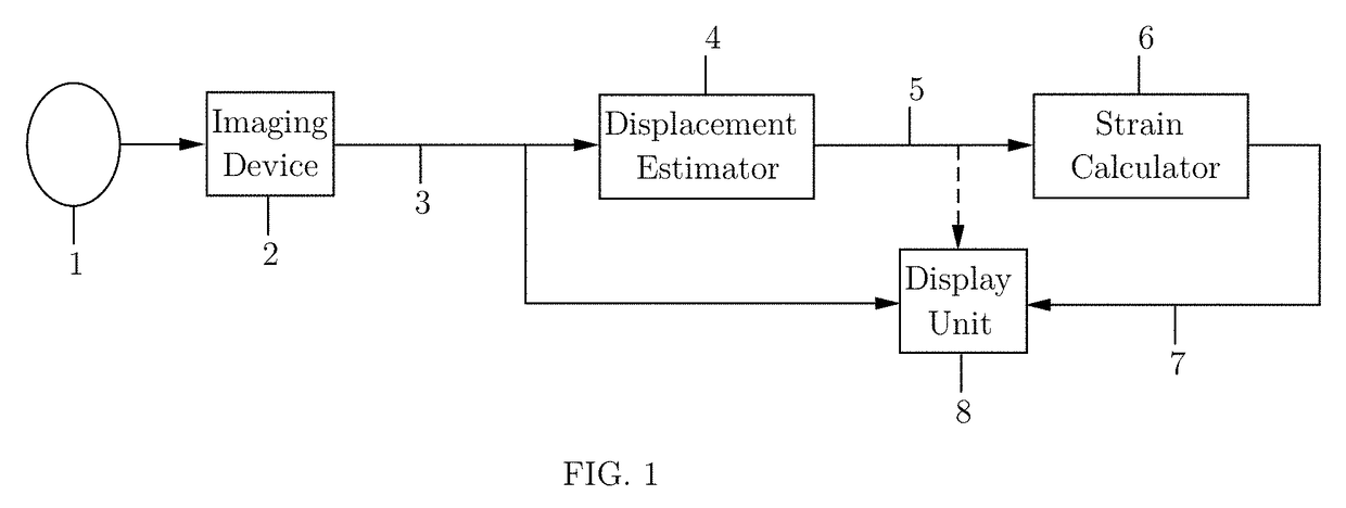 Method and apparatus for real-time and robust strain imaging