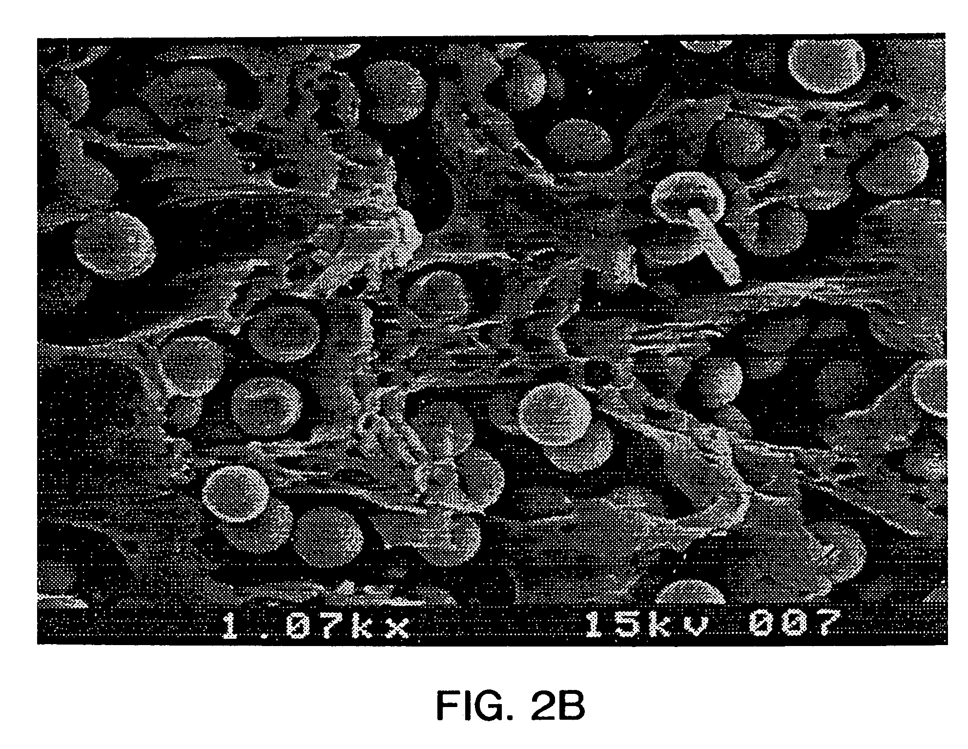 Cast membrane structures for sample preparation