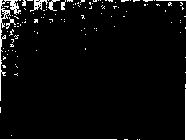 Two-dimensional code, encoding and decoding method thereof