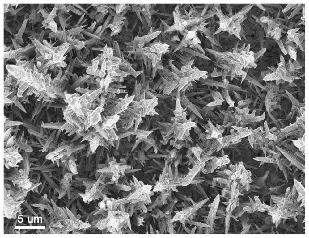 Dendritic copper electrode with hydrophobic surface and preparation method and application thereof