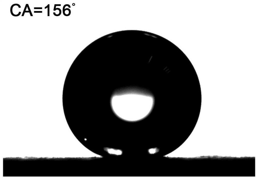 Dendritic copper electrode with hydrophobic surface and preparation method and application thereof