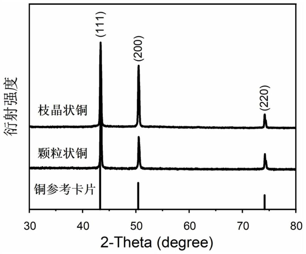 Dendritic copper electrode with hydrophobic surface and preparation method and application thereof