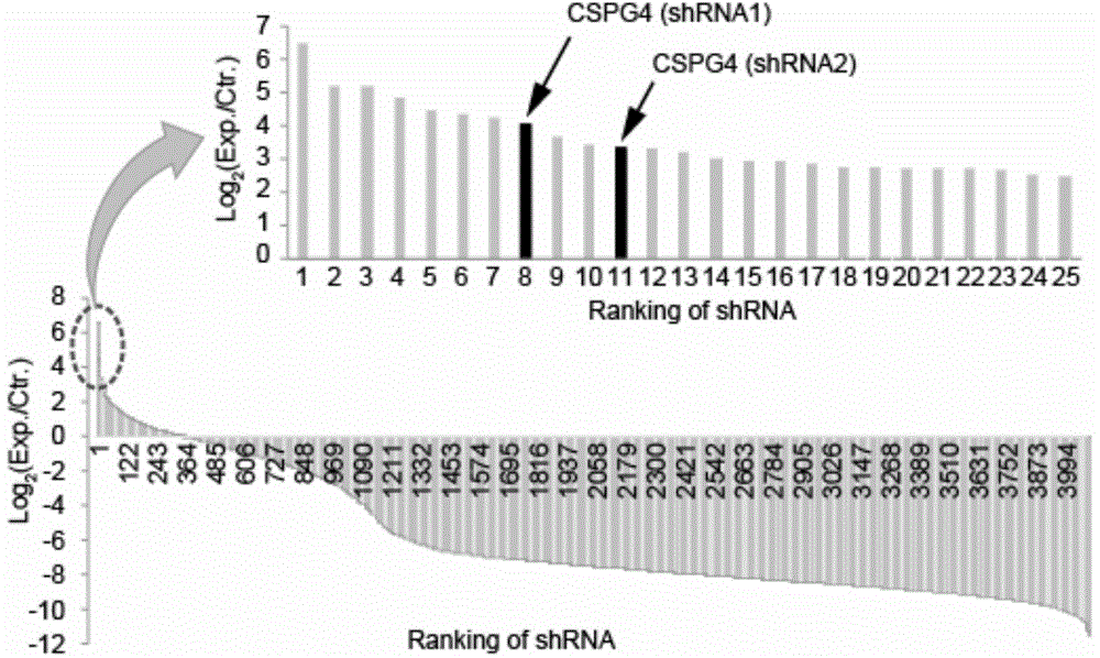 Proteins that interact with Clostridium difficile cytotoxin b