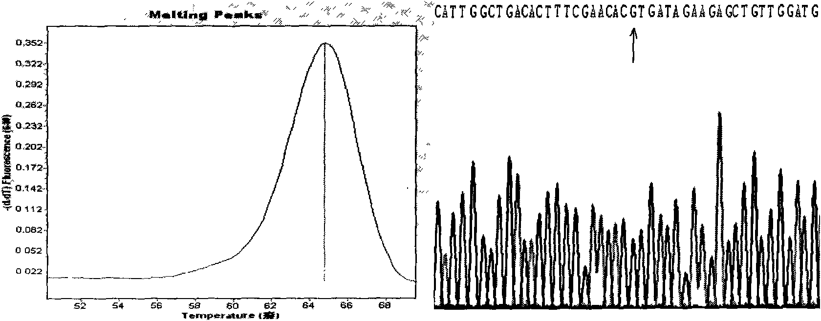 Kit for detecting human BDNFmet gene variation