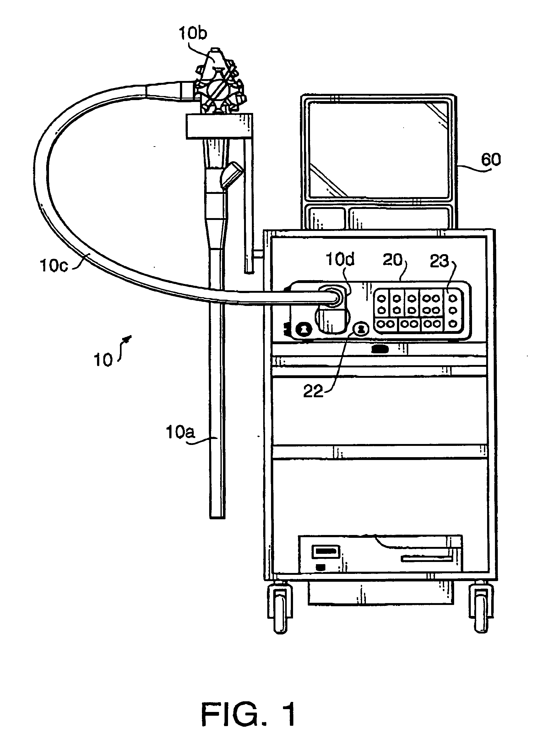 Electronic endoscope system capable of displaying a plurality of images