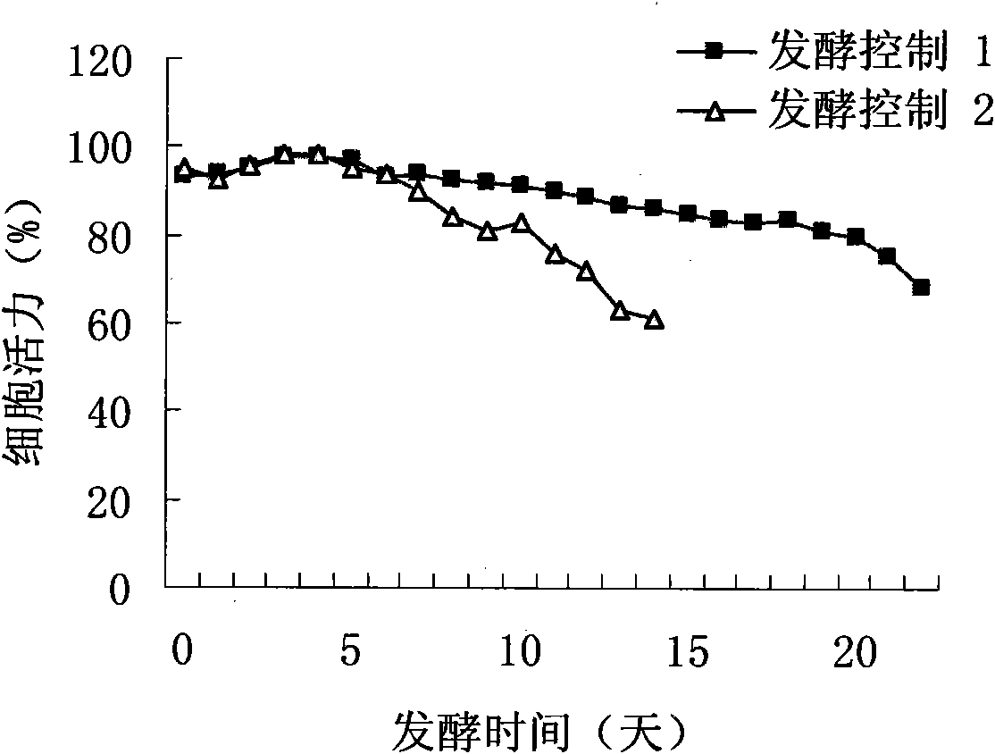 Perfusion culture method of mammal cell