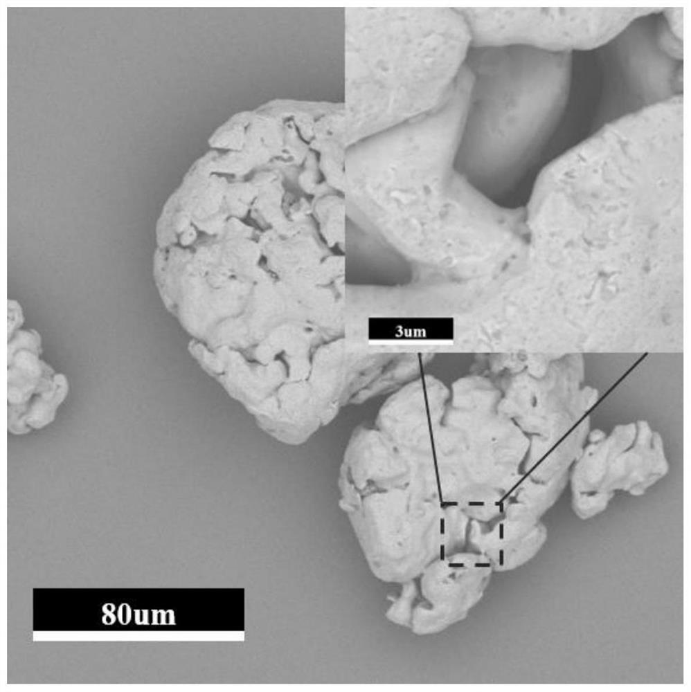 Phenol wastewater treatment method