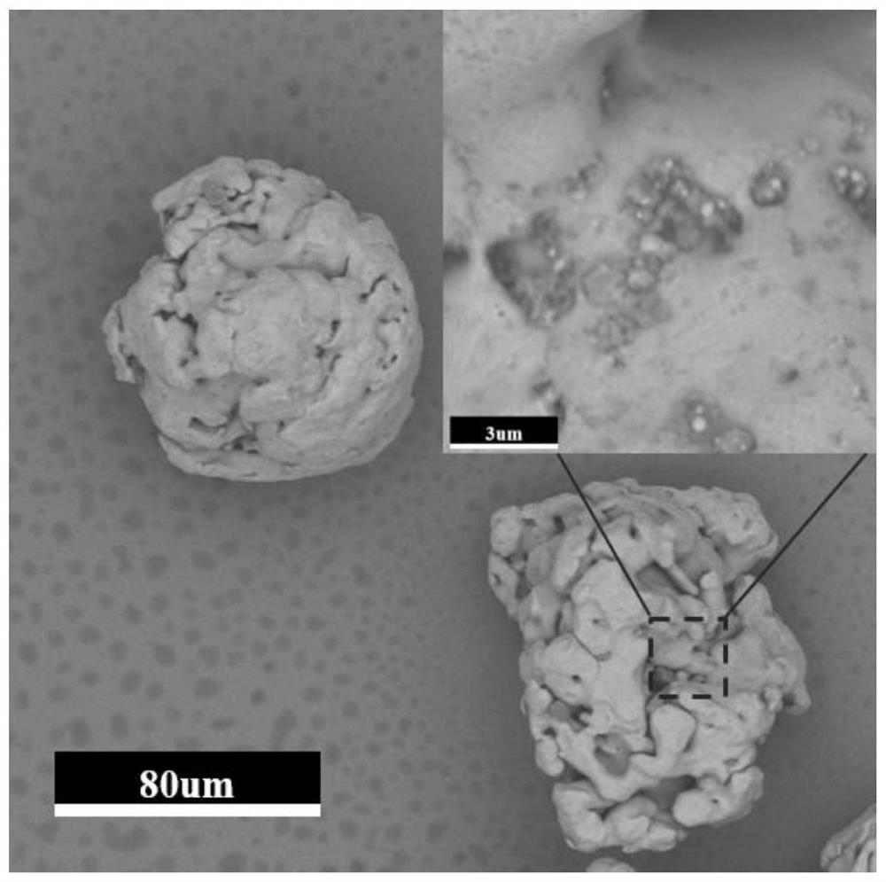 Phenol wastewater treatment method