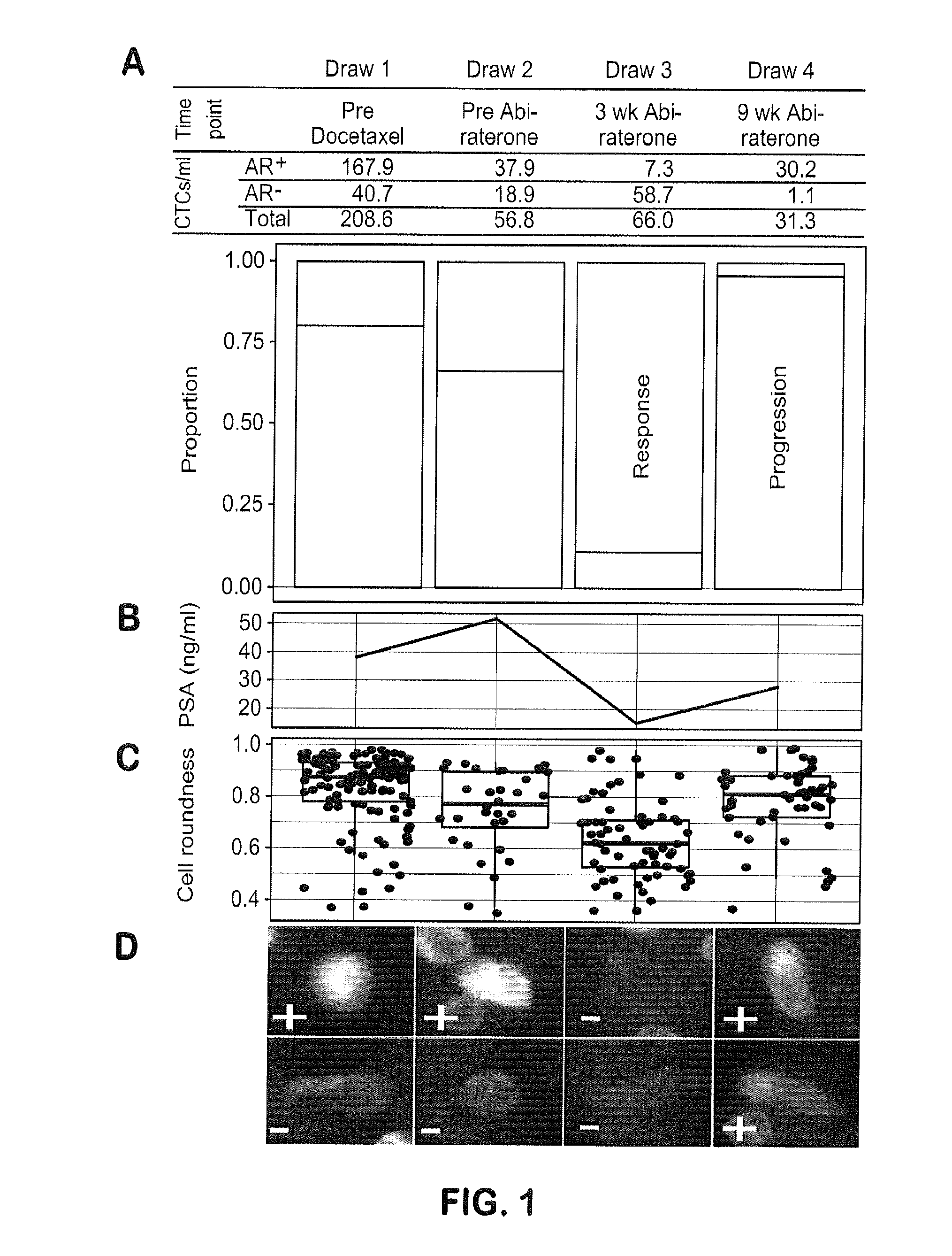 Genotypic and Phenotypic Analysis of Circulating Tumor Cells to Monitor Tumor Evolution in Prostate Cancer Patients