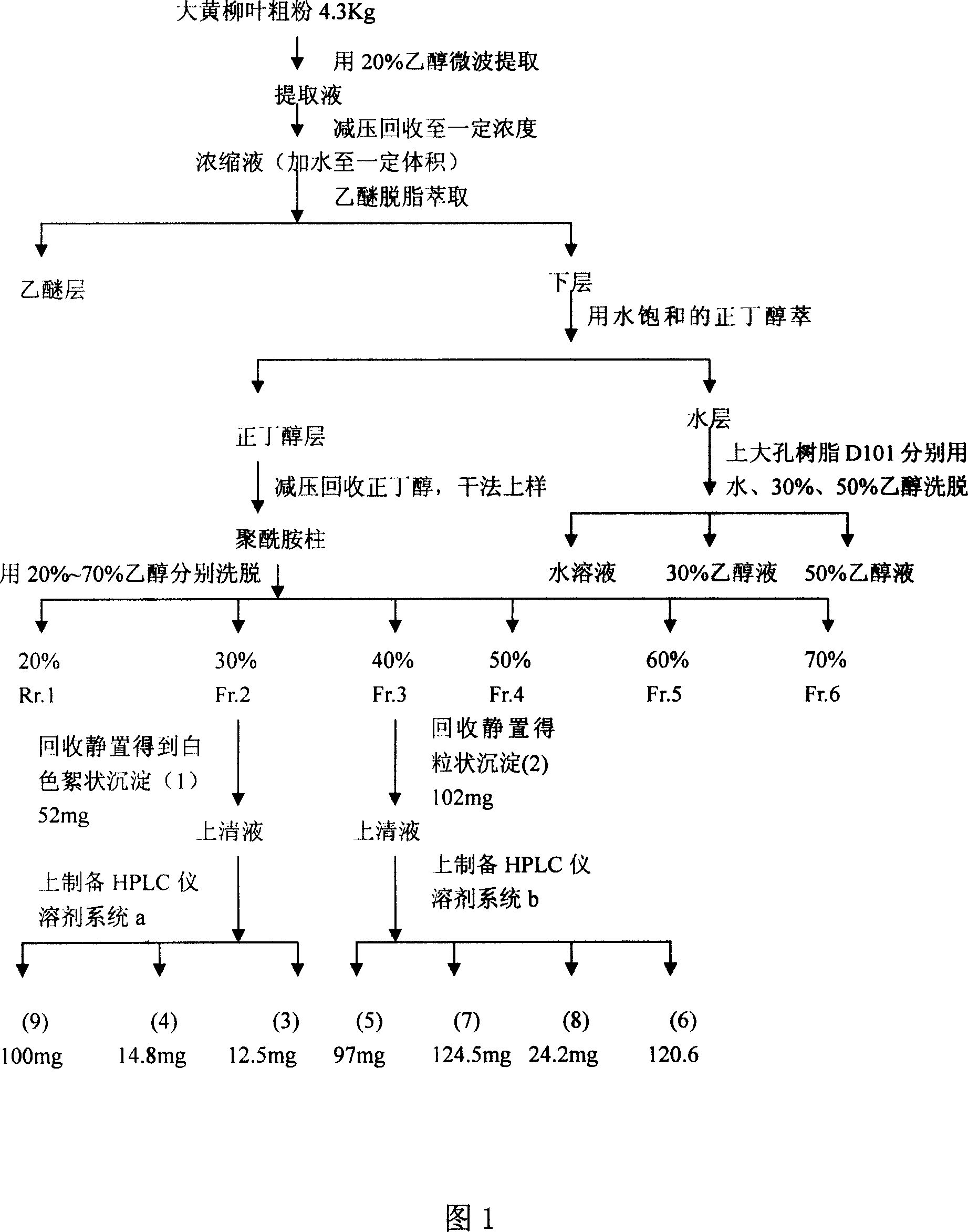 Extraction and separation method for rhubarb willow leaf flavone component