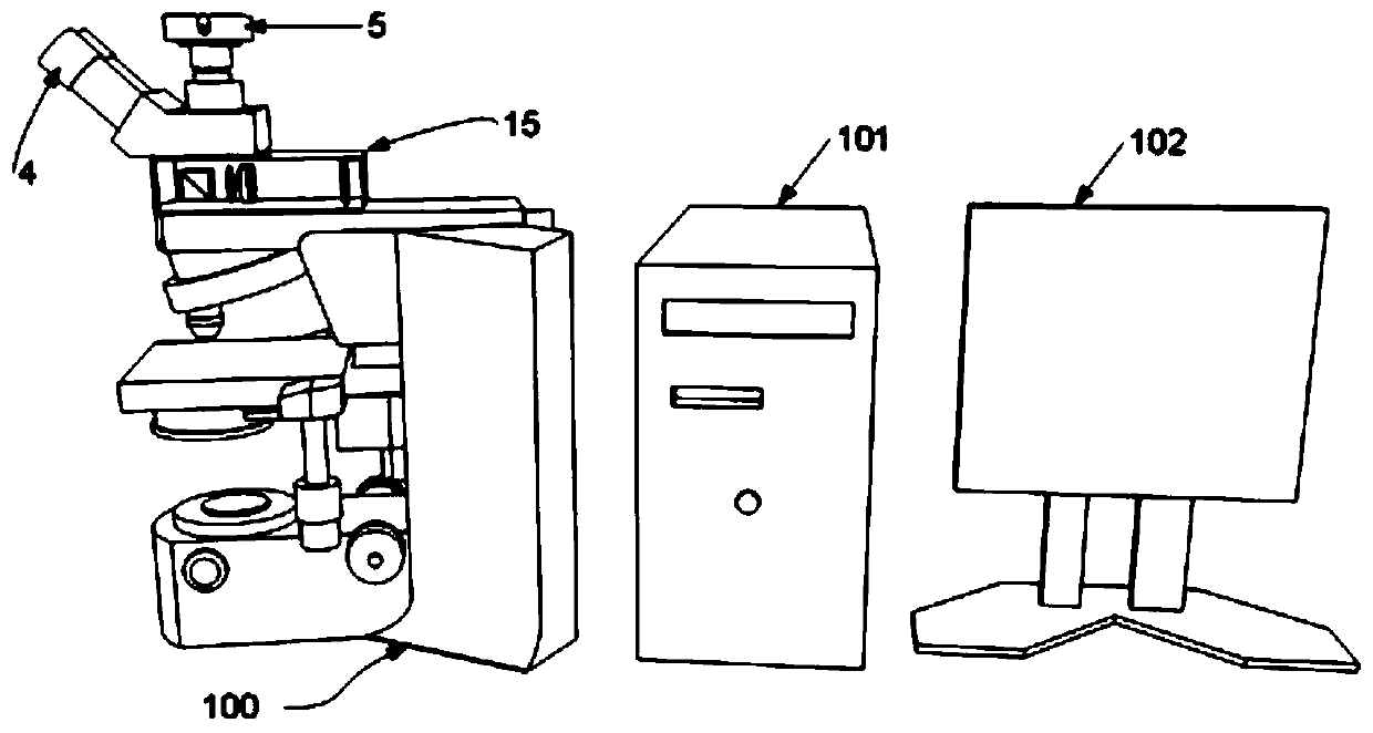 Augmented reality microscope, image projection equipment and image processing system