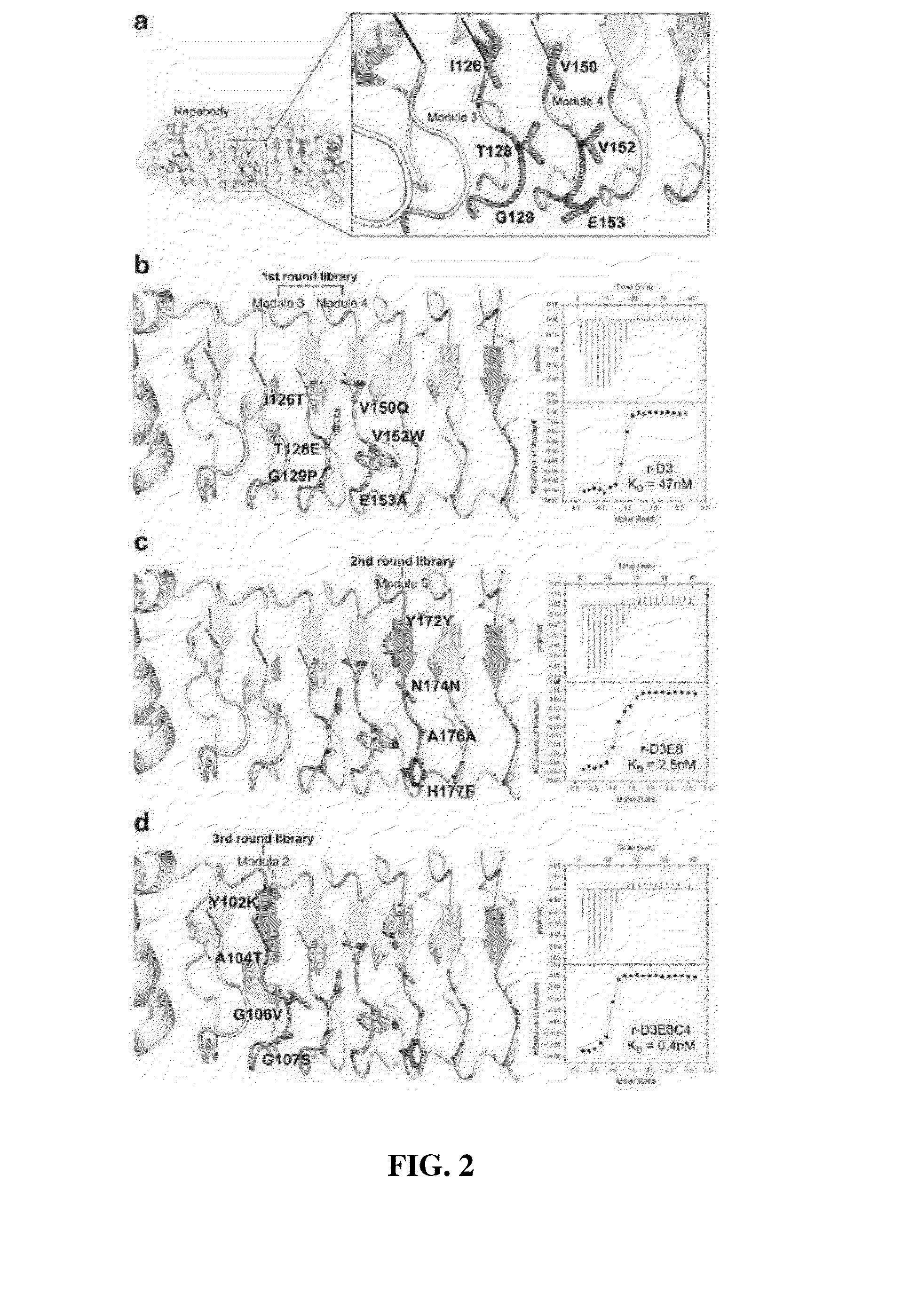 Method for improving repebody containing repeat modules