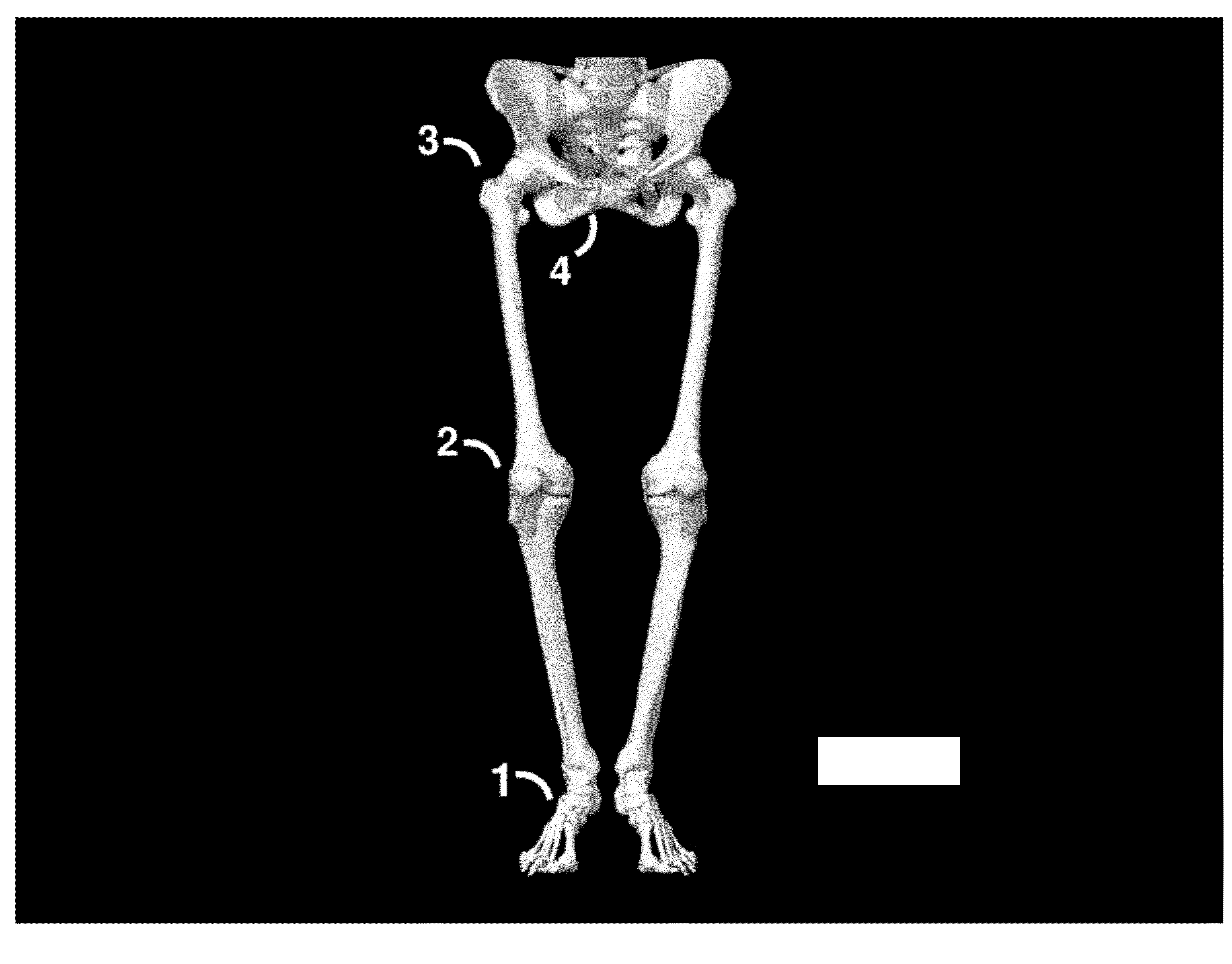 Method and system for treating patients