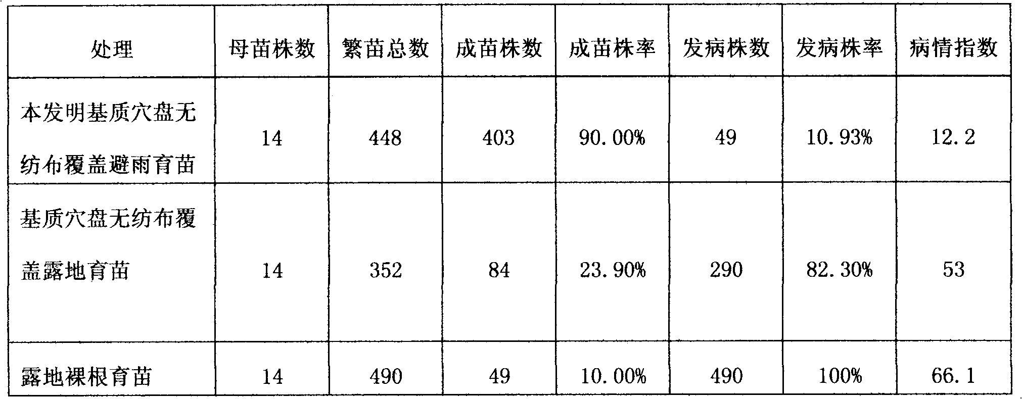 Plug substrate rainproof strawberry seedling culturing method and special facility