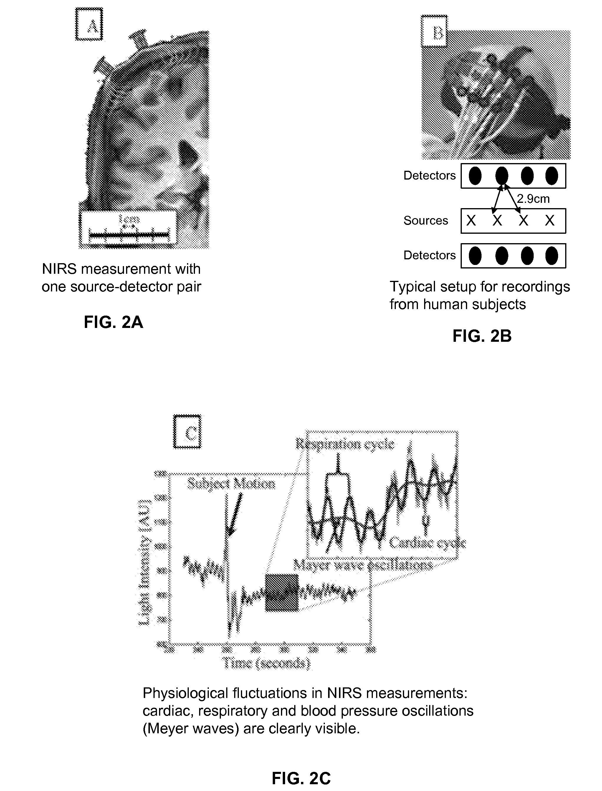 Method and Apparatus For Non-Invasive Assessment of Hemodynamic and Functional State of the Brain