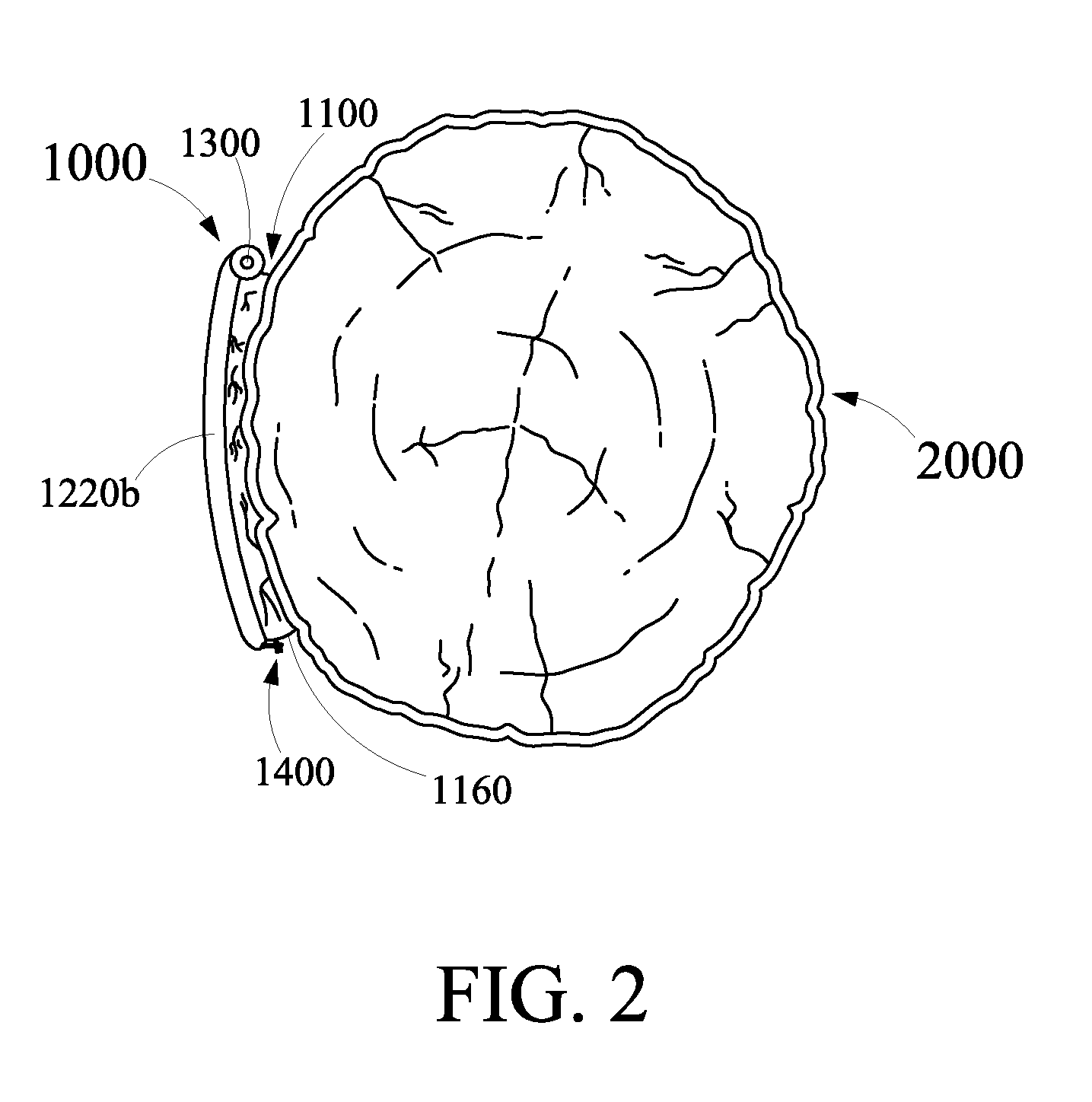 Bird feeding apparatus