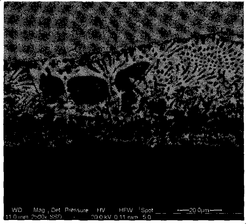 Argon-arc welding-braze welding composite welding method for connecting the titanium alloy and steel