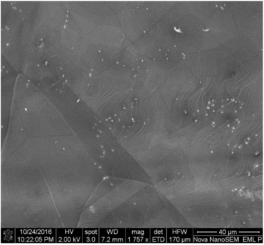 Preparation method for oversized multilayer single crystal graphene and large-size single crystal copper nickel alloy