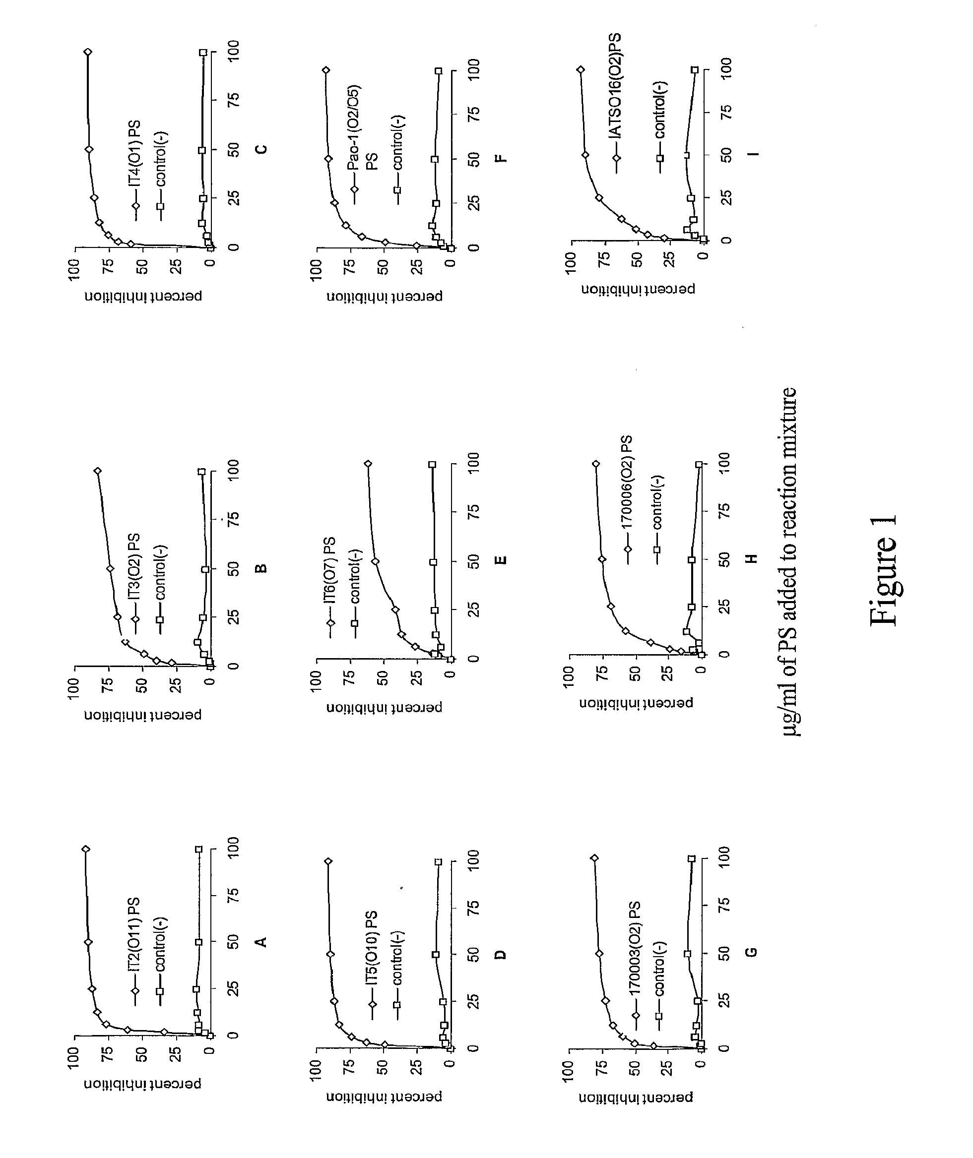 Human Anti-pseudomonas-aeruginosa antibodies derived from transgenic xenomouse