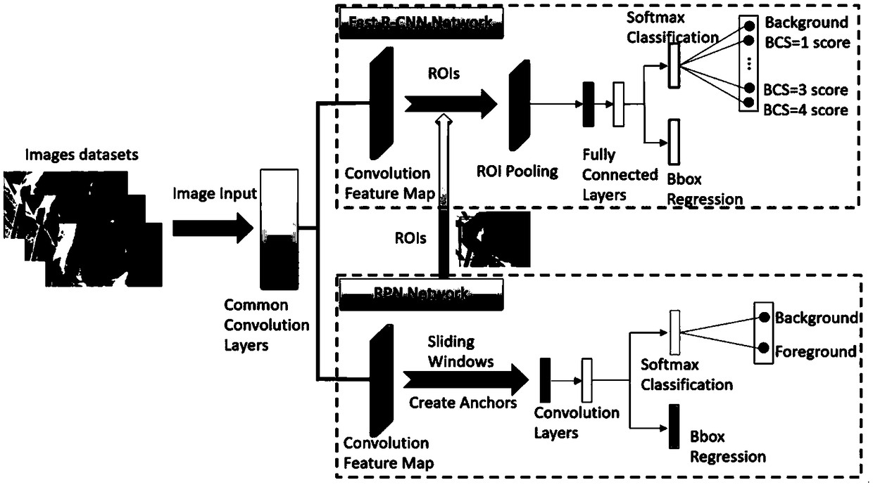 Intelligent scoring system for dairy cow body condition based on deep learning and long-distance video