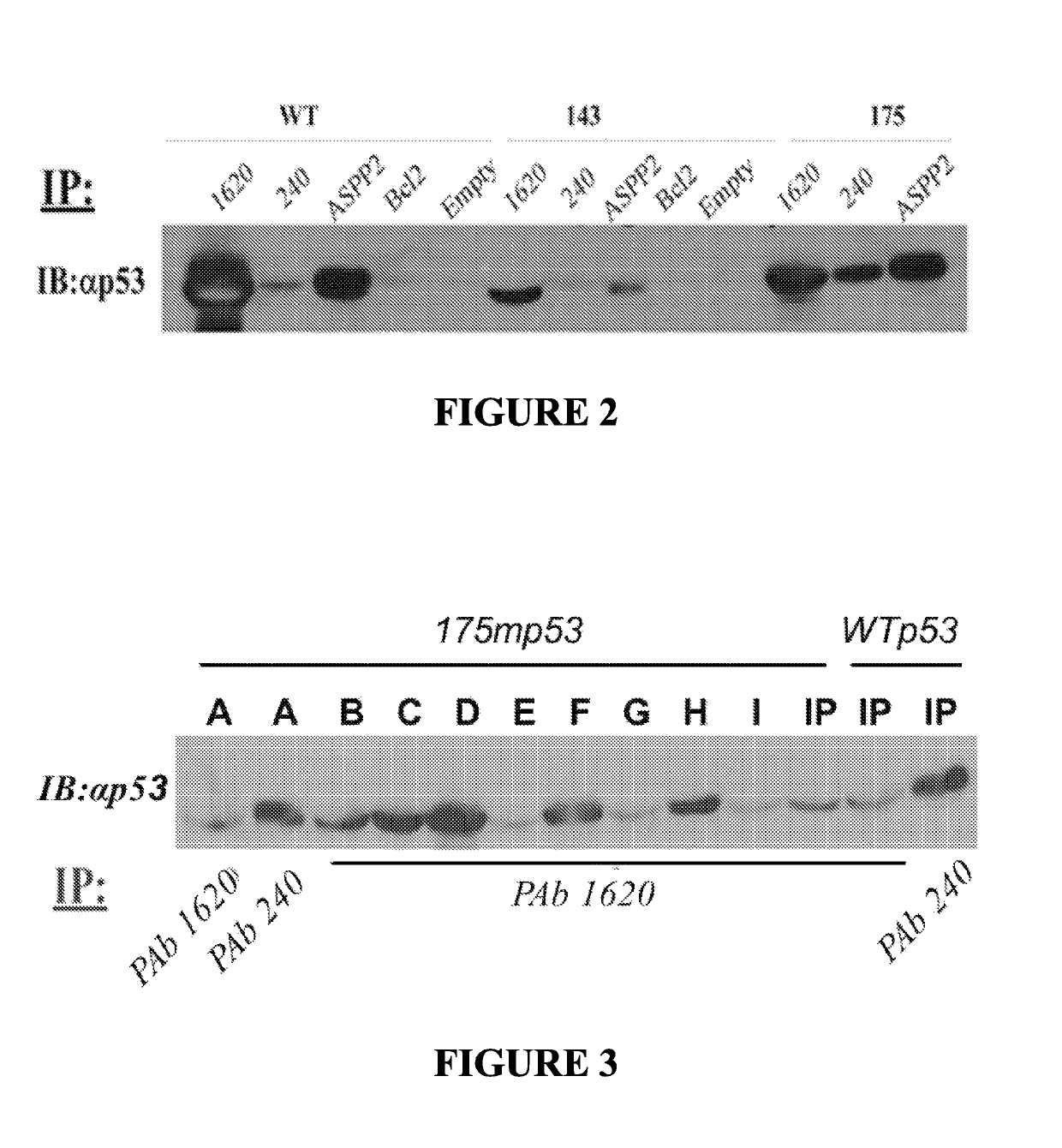 Peptides capable of reactivating p53 mutants