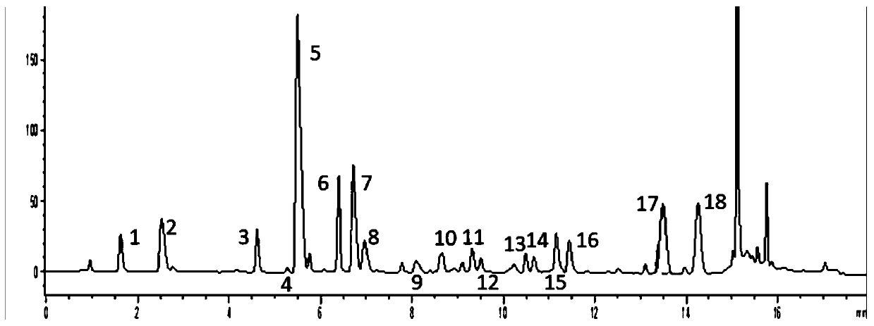 Preparation method of collagen peptide