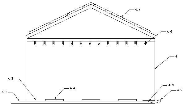 Ecological breeding system and method of giant spiny frogs