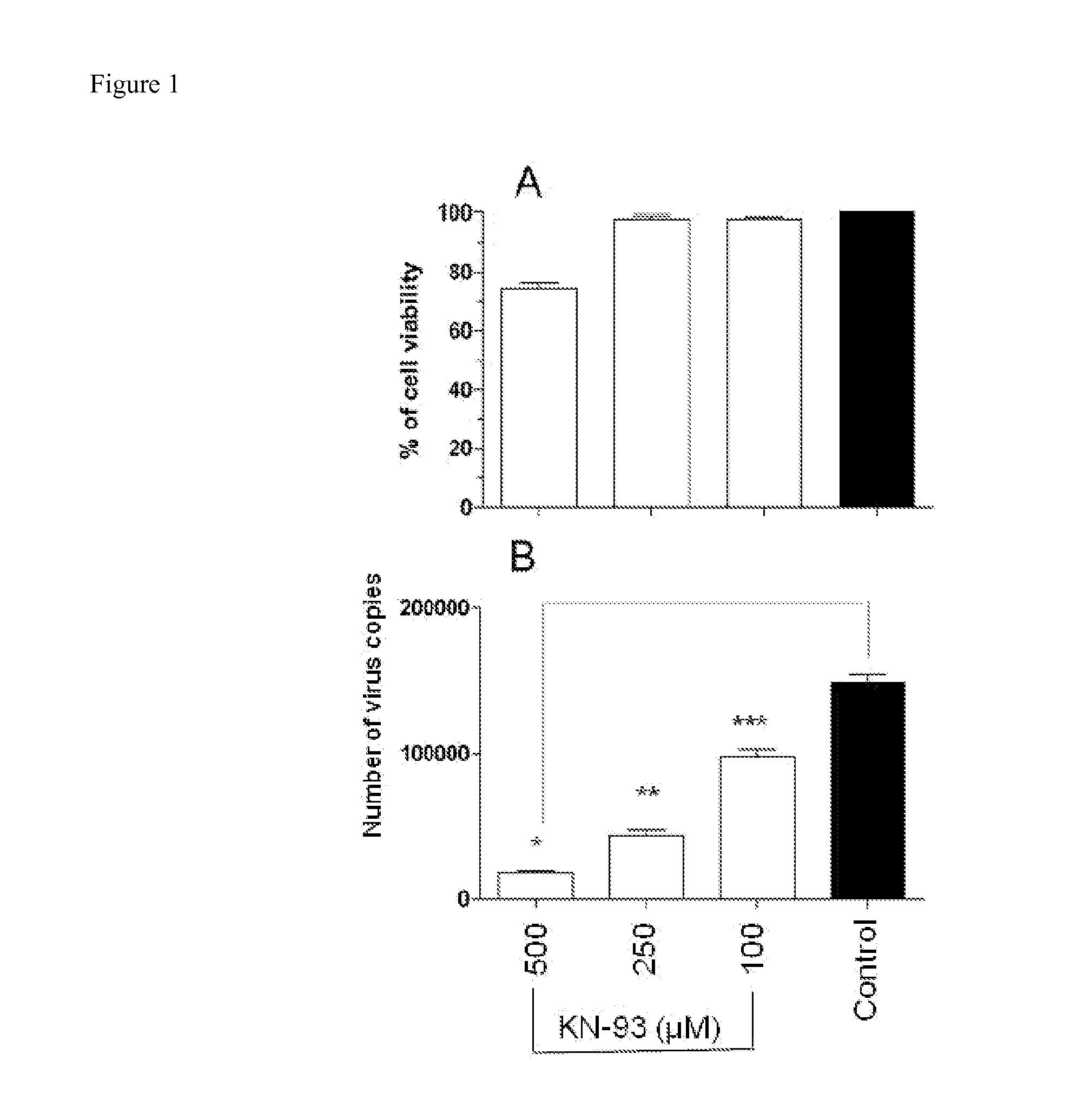 Methods for Inhibiting Virus Replication