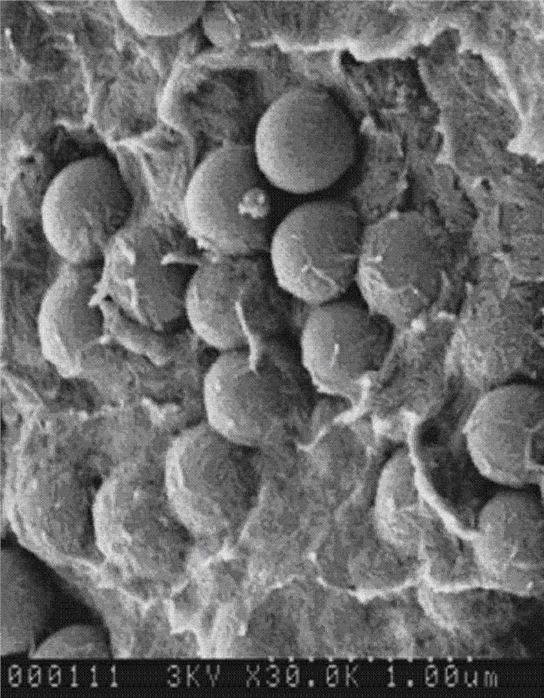 Catalyst for preparing crylic acid from propane through selective oxidation and preparation method thereof