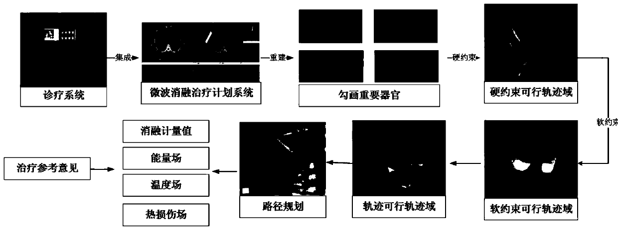 Remote diagnosis and treatment system and method for tumor ablation