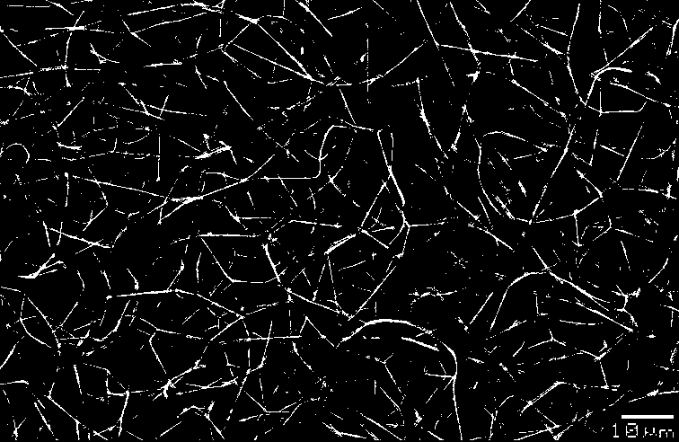 Preparation method of vitamin C-loaded silk fibroin/hyaluronic acid composite nanofibers