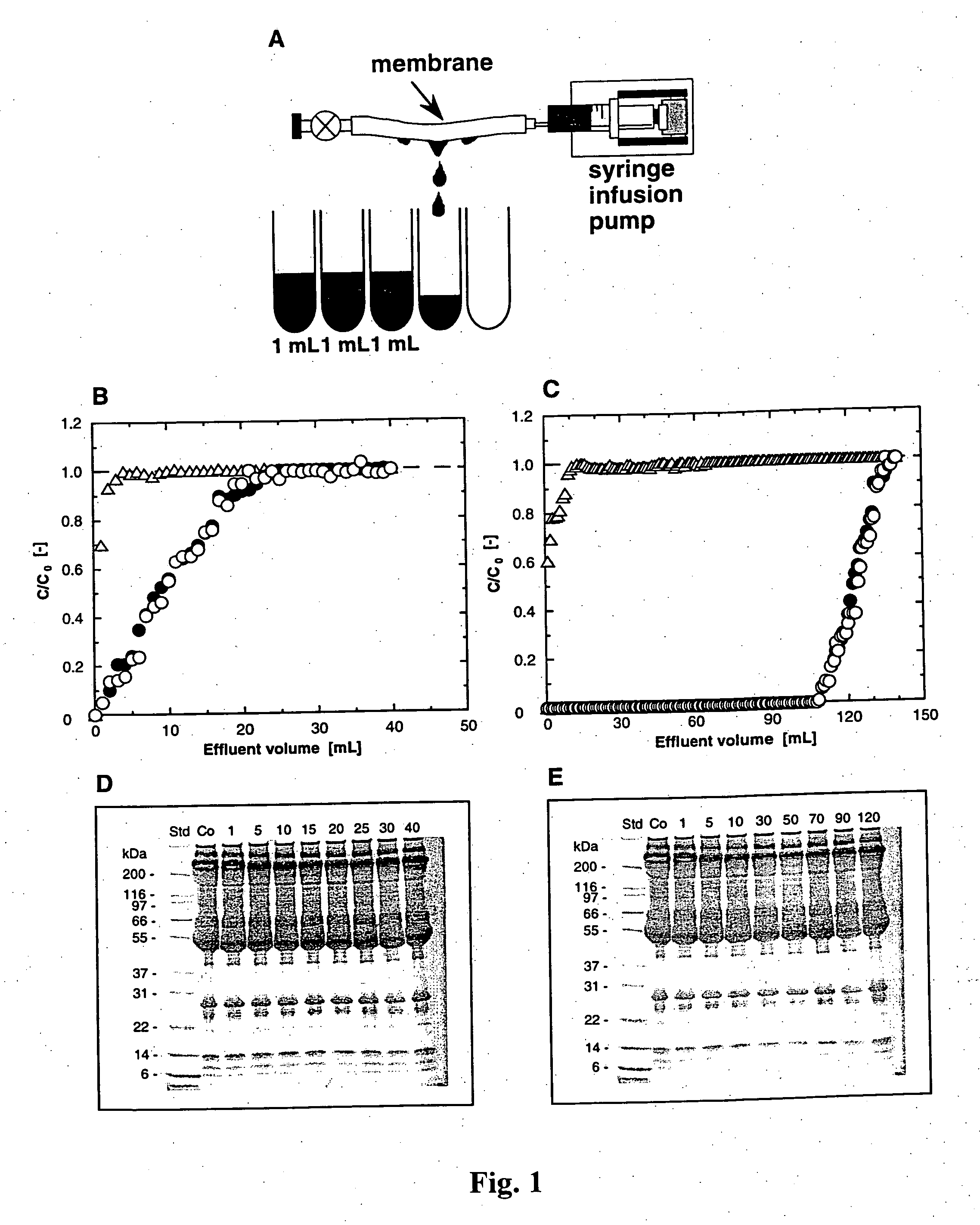 Methods for removal, purification, and concentration of viruses and methods of therapy based thereupon