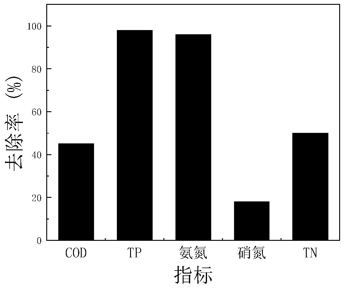 Ecological filter zone system for retarding farmland non-point source pollution and construction method thereof