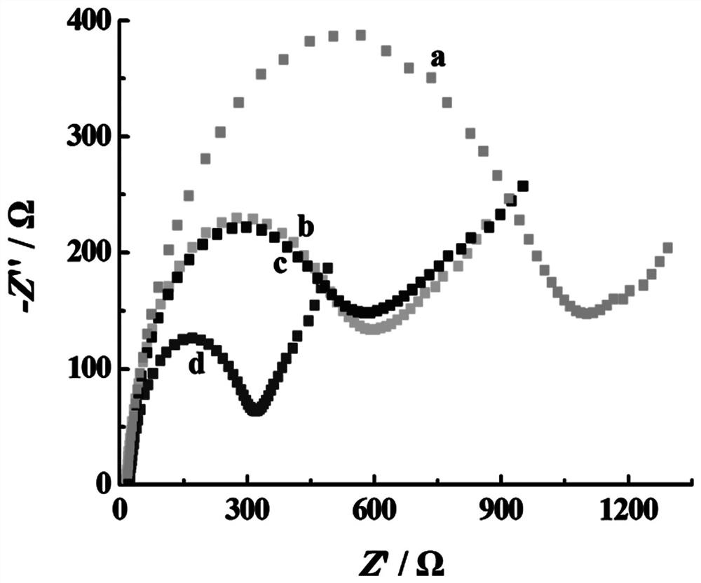 A chemically modified electrode for sensitive detection of sulfamidine and its preparation method and application