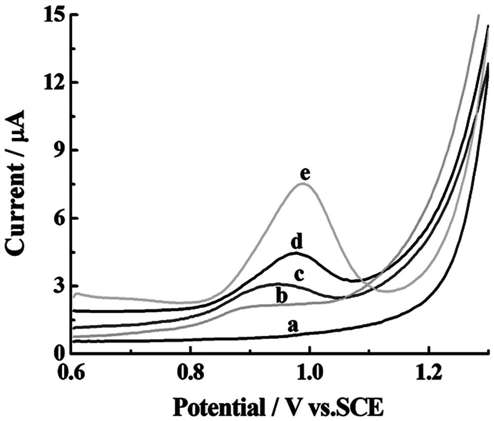 A chemically modified electrode for sensitive detection of sulfamidine and its preparation method and application