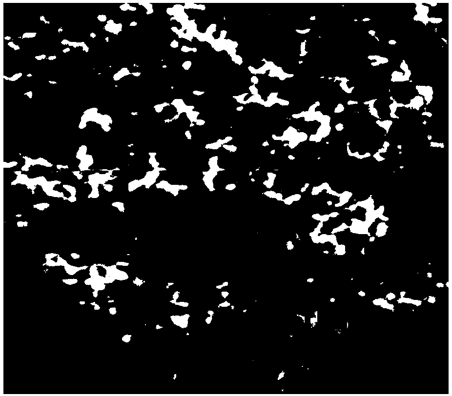 Method for preparing transparent magneto-optic holmium oxide ceramic