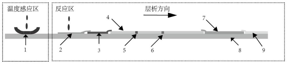 Methylamphetamine detection card capable of preventing urine sample from being counterfeited as well as preparation method and application of methyl amphetamine detection card