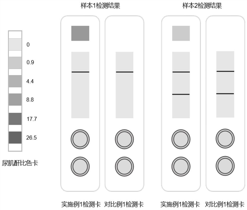 Methylamphetamine detection card capable of preventing urine sample from being counterfeited as well as preparation method and application of methyl amphetamine detection card