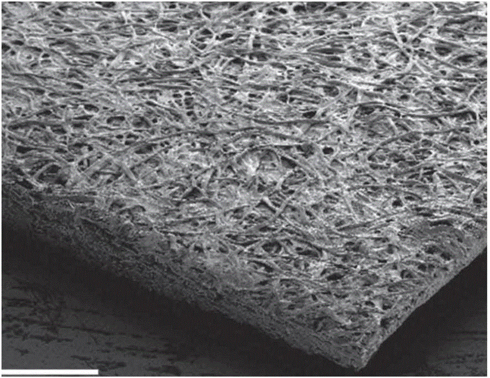 Molybdenum disulfide/gold nanoparticle mixed structure biosensor material and preparation method thereof