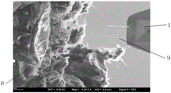 Technology for fusing carbon-carbon bonds of carbon nanotubes by means of electron beam irradiation