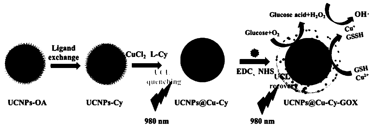 Cu-amino acid composite up-conversion nano material and preparation method thereof