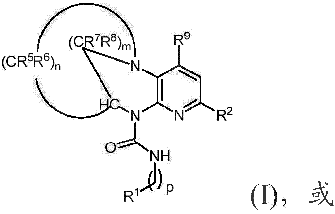 Substituted bridged urea analogs as sirtuin modulators